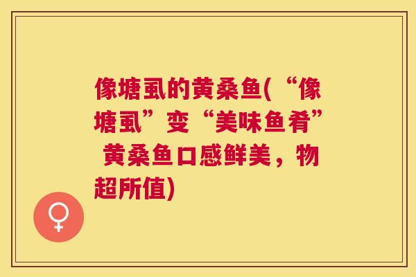 像塘虱的黄桑鱼(“像塘虱”变“美味鱼肴” 黄桑鱼口感鲜美，物超所值)