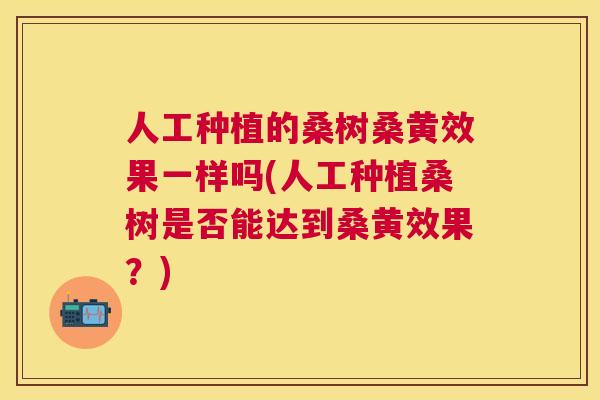 人工种植的桑树桑黄效果一样吗(人工种植桑树是否能达到桑黄效果?) 人工种植的桑树桑黄效果一样吗(人工种植桑树是否能达到桑黄效果?)