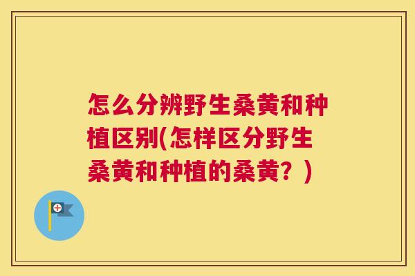 怎么分辨野生桑黄和种植区别(怎样区分野生桑黄和种植的桑黄?) 怎么分辨野生桑黄和种植区别(怎样区分野生桑黄和种植的桑黄?)