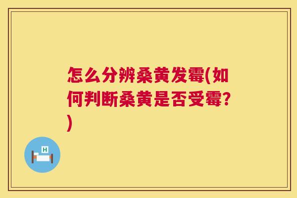 怎么分辨桑黄发霉(如何判断桑黄是否受霉?) 怎么分辨桑黄发霉(如何判断桑黄是否受霉?)