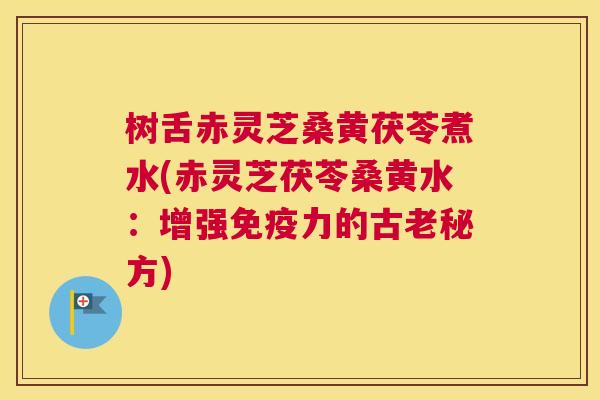 树舌赤灵芝桑黄茯苓煮水(赤灵芝茯苓桑黄水:增强力的古老秘方) 树舌赤灵芝桑黄茯苓煮水(赤灵芝茯苓桑黄水:增强力的古老秘方)