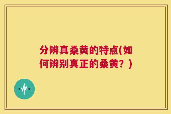 分辨真桑黄的特点(如何辨别真正的桑黄?) 分辨真桑黄的特点(如何辨别真正的桑黄?)