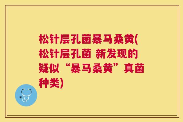 松针层孔菌暴马桑黄(松针层孔菌 新发现的疑似“暴马桑黄”真菌种类) 松针层孔菌暴马桑黄(松针层孔菌 新发现的疑似“暴马桑黄”真菌种类)