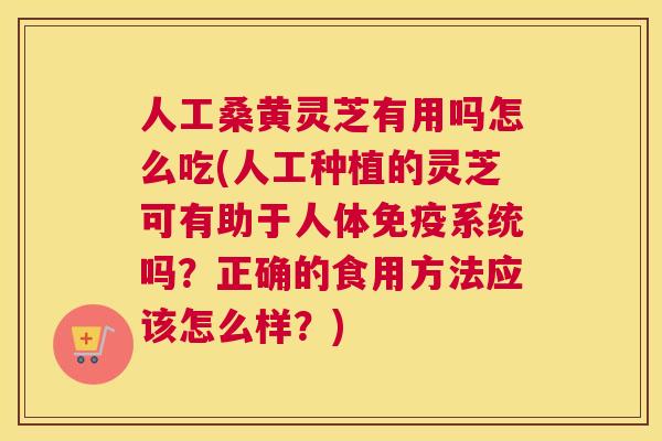 人工桑黄灵芝有用吗怎么吃(人工种植的灵芝可有助于人体系统吗?正确的食用方法应该怎么样?) 人工桑黄灵芝有用吗怎么吃(人工种植的灵芝可有助于人体系统吗?正确的食用方法应该怎么样?)