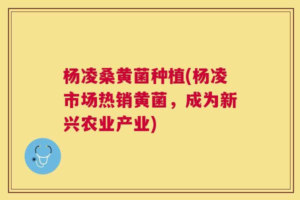 杨凌桑黄菌种植(杨凌市场热销黄菌,成为新兴农业产业) 杨凌桑黄菌种植(杨凌市场热销黄菌,成为新兴农业产业)