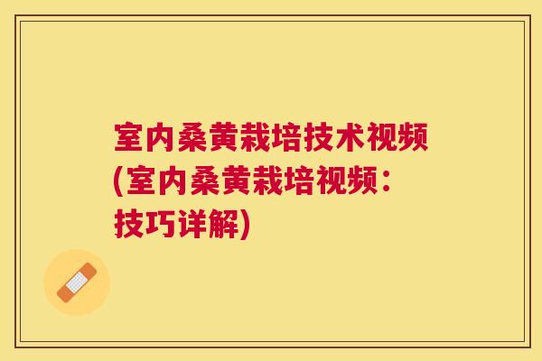 室内桑黄栽培技术视频(室内桑黄栽培视频:技巧详解) 室内桑黄栽培技术视频(室内桑黄栽培视频:技巧详解)