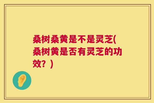 桑树桑黄是不是灵芝(桑树黄是否有灵芝的功效?) 桑树桑黄是不是灵芝(桑树黄是否有灵芝的功效?)