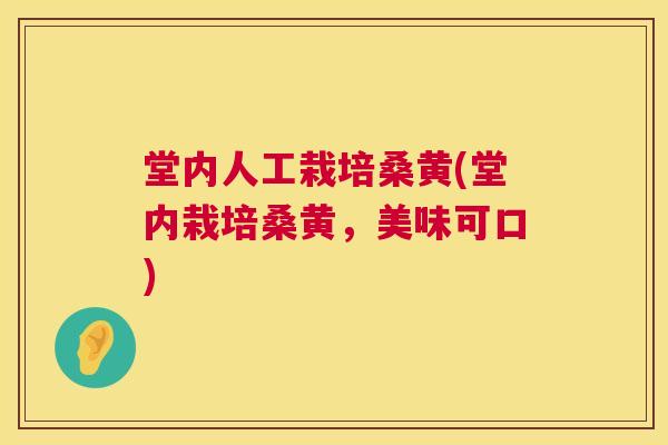 堂内人工栽培桑黄(堂内栽培桑黄，美味可口)