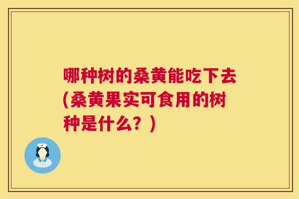 哪种树的桑黄能吃下去(桑黄果实可食用的树种是什么?) 哪种树的桑黄能吃下去(桑黄果实可食用的树种是什么?)