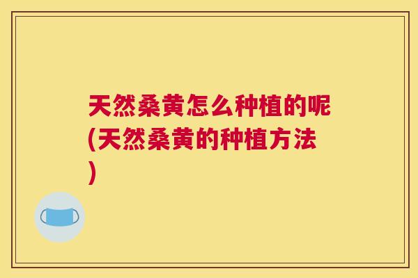 天然桑黄怎么种植的呢(天然桑黄的种植方法) 天然桑黄怎么种植的呢(天然桑黄的种植方法)