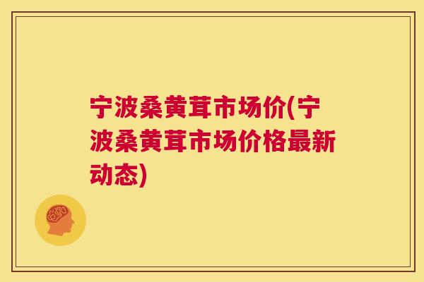 宁波桑黄茸市场价(宁波桑黄茸市场价格新动态)
