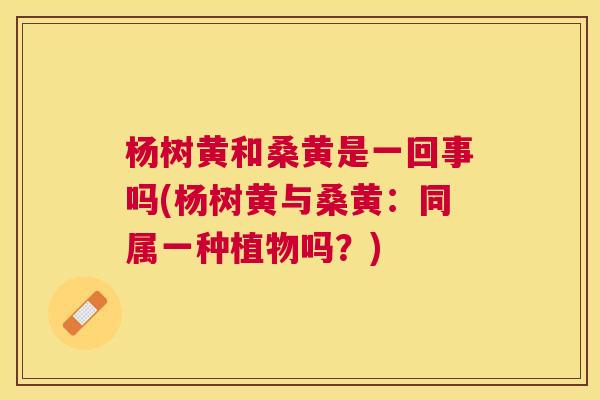 杨树黄和桑黄是一回事吗(杨树黄与桑黄:同属一种植物吗?) 杨树黄和桑黄是一回事吗(杨树黄与桑黄:同属一种植物吗?)