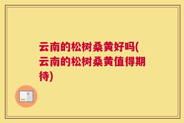 云南的松树桑黄好吗(云南的松树桑黄值得期待) 云南的松树桑黄好吗(云南的松树桑黄值得期待)
