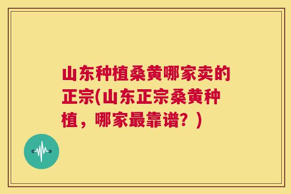 山东种植桑黄哪家卖的正宗(山东正宗桑黄种植,哪家靠谱?) 山东种植桑黄哪家卖的正宗(山东正宗桑黄种植,哪家靠谱?)