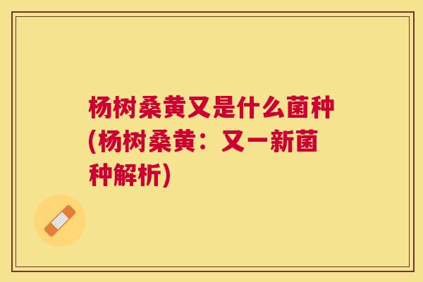 杨树桑黄又是什么菌种(杨树桑黄:又一新菌种解析) 杨树桑黄又是什么菌种(杨树桑黄:又一新菌种解析)