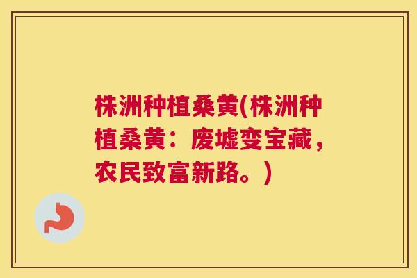 株洲种植桑黄(株洲种植桑黄:废墟变宝藏,农民致富新路。) 株洲种植桑黄(株洲种植桑黄:废墟变宝藏,农民致富新路。)