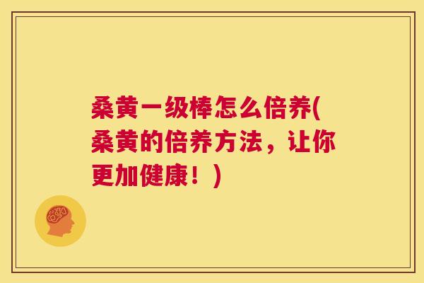 桑黄一级棒怎么倍养(桑黄的倍养方法,让你更加健康!) 桑黄一级棒怎么倍养(桑黄的倍养方法,让你更加健康!)