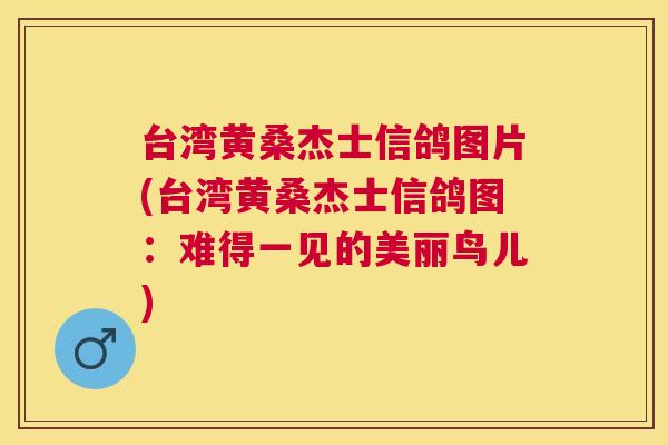 台湾黄桑杰士信鸽图片(台湾黄桑杰士信鸽图:难得一见的美丽鸟儿) 台湾黄桑杰士信鸽图片(台湾黄桑杰士信鸽图:难得一见的美丽鸟儿)
