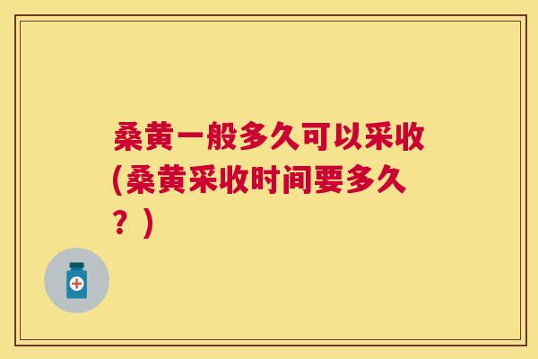 桑黄一般多久可以采收(桑黄采收时间要多久?) 桑黄一般多久可以采收(桑黄采收时间要多久?)