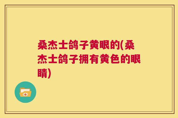 桑杰士鸽子黄眼的(桑杰士鸽子拥有黄色的眼睛) 桑杰士鸽子黄眼的(桑杰士鸽子拥有黄色的眼睛)