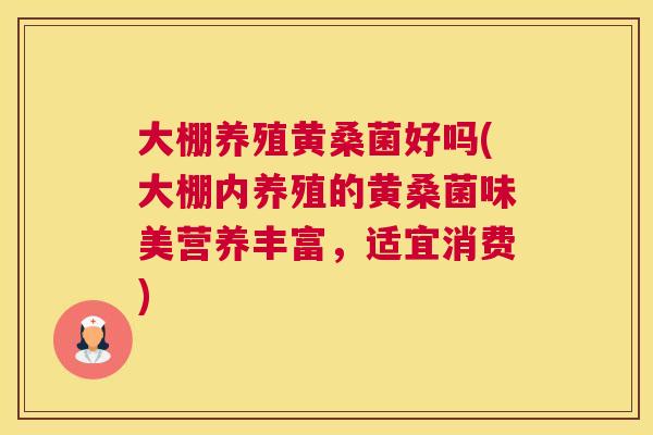 大棚养殖黄桑菌好吗(大棚内养殖的黄桑菌味美营养丰富,适宜消费) 大棚养殖黄桑菌好吗(大棚内养殖的黄桑菌味美营养丰富,适宜消费)