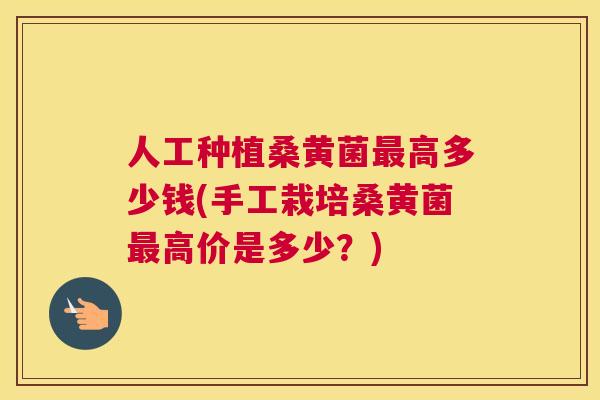 人工种植桑黄菌高多少钱(手工栽培桑黄菌高价是多少?) 人工种植桑黄菌高多少钱(手工栽培桑黄菌高价是多少?)