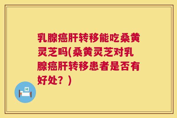 乳腺转移能吃桑黄灵芝吗(桑黄灵芝对乳腺转移患者是否有好处?) 乳腺转移能吃桑黄灵芝吗(桑黄灵芝对乳腺转移患者是否有好处?)