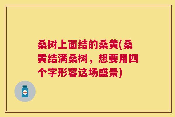 桑树上面结的桑黄(桑黄结满桑树,想要用四个字形容这场盛景) 桑树上面结的桑黄(桑黄结满桑树,想要用四个字形容这场盛景)