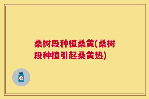 桑树段种植桑黄(桑树段种植引起桑黄热)