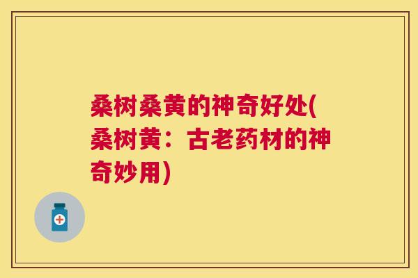 桑树桑黄的神奇好处(桑树黄:古老药材的神奇妙用) 桑树桑黄的神奇好处(桑树黄:古老药材的神奇妙用)