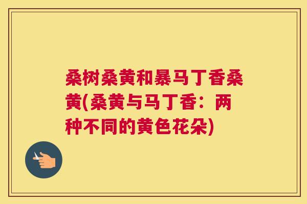 桑树桑黄和暴马丁香桑黄(桑黄与马丁香:两种不同的黄色花朵) 桑树桑黄和暴马丁香桑黄(桑黄与马丁香:两种不同的黄色花朵)