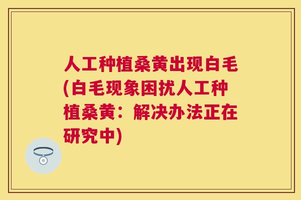 人工种植桑黄出现白毛(白毛现象困扰人工种植桑黄:解决办法正在研究中) 人工种植桑黄出现白毛(白毛现象困扰人工种植桑黄:解决办法正在研究中)