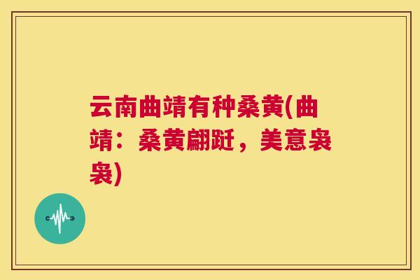 云南曲靖有种桑黄(曲靖:桑黄翩跹,美意袅袅) 云南曲靖有种桑黄(曲靖:桑黄翩跹,美意袅袅)