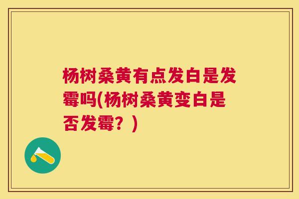 杨树桑黄有点发白是发霉吗(杨树桑黄变白是否发霉?) 杨树桑黄有点发白是发霉吗(杨树桑黄变白是否发霉?)