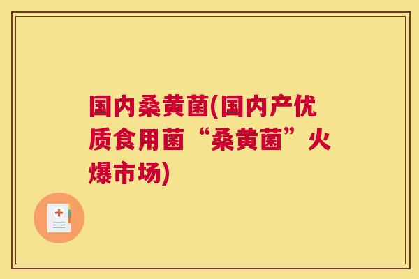 国内桑黄菌(国内产优质食用菌“桑黄菌”火爆市场) 国内桑黄菌(国内产优质食用菌“桑黄菌”火爆市场)