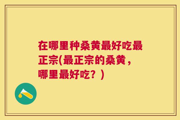 在哪里种桑黄好吃正宗(正宗的桑黄,哪里好吃?) 在哪里种桑黄好吃正宗(正宗的桑黄,哪里好吃?)