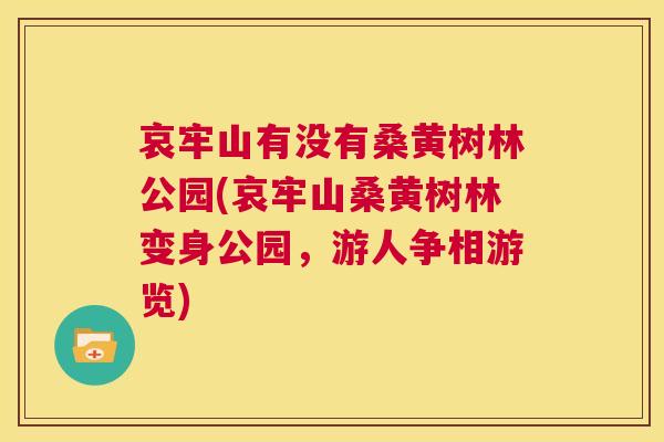 哀牢山有没有桑黄树林公园(哀牢山桑黄树林变身公园,游人争相游览) 哀牢山有没有桑黄树林公园(哀牢山桑黄树林变身公园,游人争相游览)