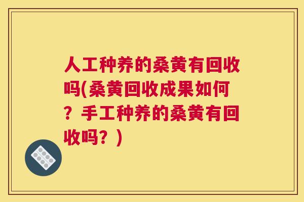 人工种养的桑黄有回收吗(桑黄回收成果如何?手工种养的桑黄有回收吗?) 人工种养的桑黄有回收吗(桑黄回收成果如何?手工种养的桑黄有回收吗?)