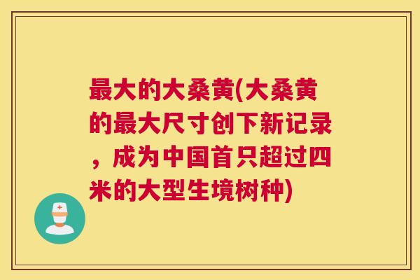 大的大桑黄(大桑黄的大尺寸创下新记录，成为中国首只超过四米的大型生境树种)