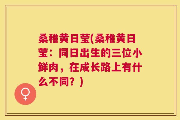 桑稚黄日莹(桑稚黄日莹:同日出生的三位小鲜肉,在成长路上有什么不同?) 桑稚黄日莹(桑稚黄日莹:同日出生的三位小鲜肉,在成长路上有什么不同?)