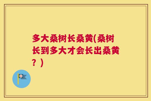 多大桑树长桑黄(桑树长到多大才会长出桑黄?) 多大桑树长桑黄(桑树长到多大才会长出桑黄?)