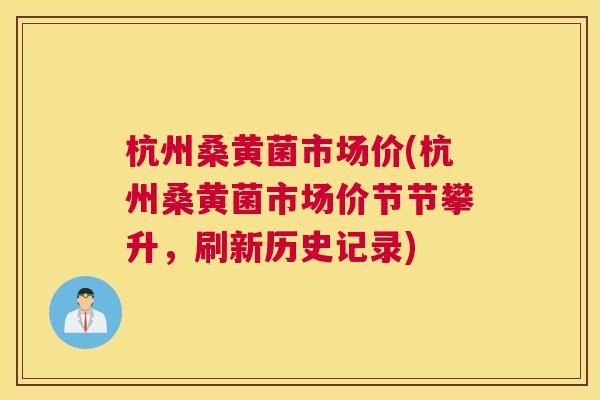杭州桑黄菌市场价(杭州桑黄菌市场价节节攀升,刷新历史记录) 杭州桑黄菌市场价(杭州桑黄菌市场价节节攀升,刷新历史记录)