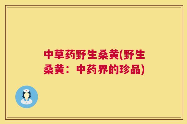中草药野生桑黄(野生桑黄:界的珍品) 中草药野生桑黄(野生桑黄:界的珍品)