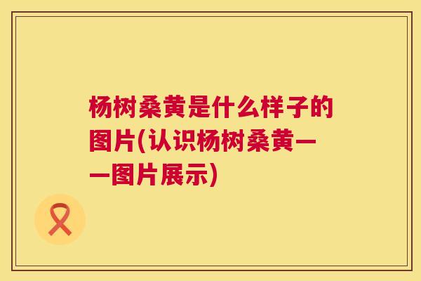 杨树桑黄是什么样子的图片(认识杨树桑黄——图片展示) 杨树桑黄是什么样子的图片(认识杨树桑黄——图片展示)