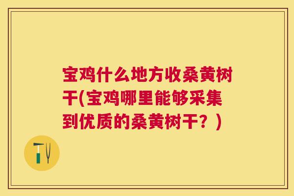 宝鸡什么地方收桑黄树干(宝鸡哪里能够采集到优质的桑黄树干?) 宝鸡什么地方收桑黄树干(宝鸡哪里能够采集到优质的桑黄树干?)