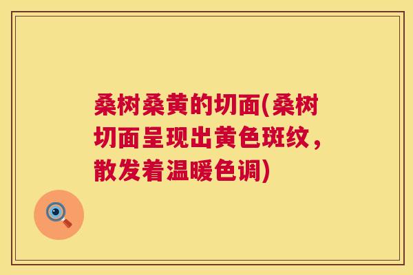 桑树桑黄的切面(桑树切面呈现出黄色斑纹,散发着温暖色调) 桑树桑黄的切面(桑树切面呈现出黄色斑纹,散发着温暖色调)