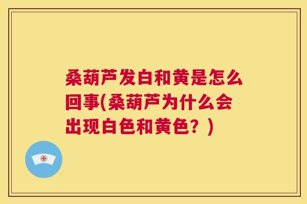桑葫芦发白和黄是怎么回事(桑葫芦为什么会出现白色和黄色?) 桑葫芦发白和黄是怎么回事(桑葫芦为什么会出现白色和黄色?)