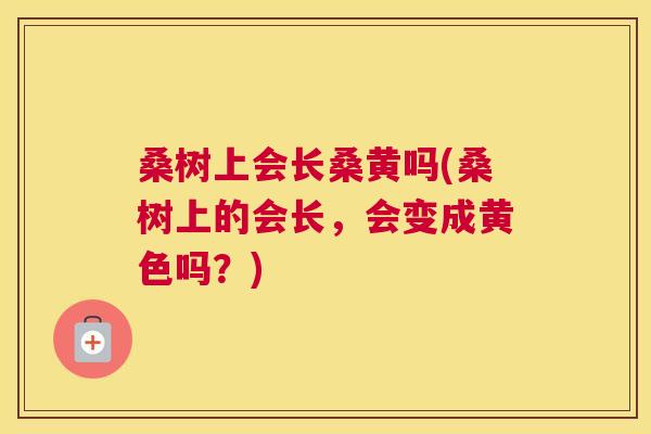 桑树上会长桑黄吗(桑树上的会长,会变成黄色吗?) 桑树上会长桑黄吗(桑树上的会长,会变成黄色吗?)