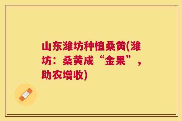 山东潍坊种植桑黄(潍坊:桑黄成“金果”,助农增收) 山东潍坊种植桑黄(潍坊:桑黄成“金果”,助农增收)