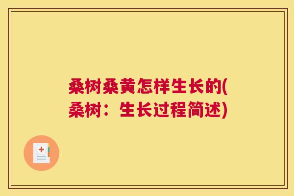 桑树桑黄怎样生长的(桑树:生长过程简述) 桑树桑黄怎样生长的(桑树:生长过程简述)